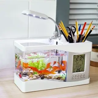 Bể Cá Điện Tử: Tổng Quan, Lợi Ích Và Thiết Bị Cần Thiết