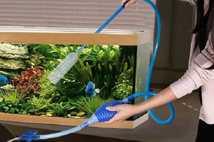 Hướng Dẫn Chi Tiết Cách Làm Bể Cá Đơn Giản Tại Nhà