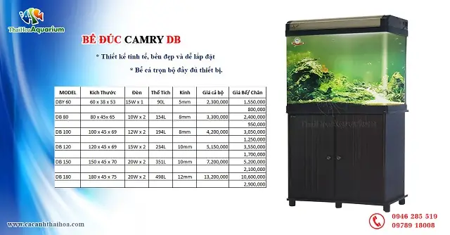 Bể Cá Đúc 1m: Hướng Dẫn Toàn Diện Từ Lựa Chọn Đến Thiết Lập
