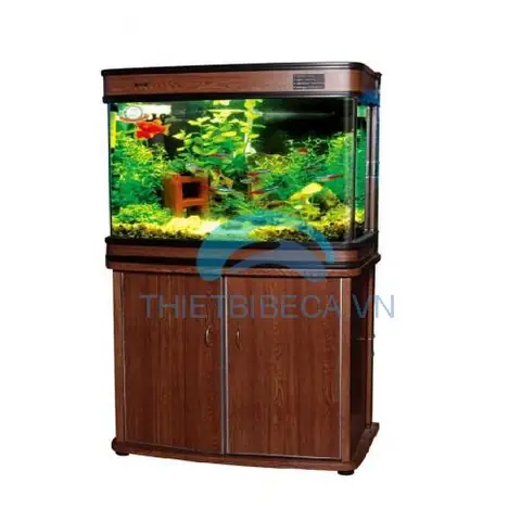 Bể Cá Đúc 60cm TPHCM: Kinh Nghiệm Chọn Mua Và Địa Chỉ Uy Tín