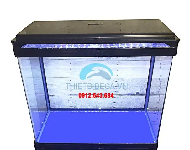Bể cá đúc Camry 60cm: Đánh giá chi tiết và kinh nghiệm lựa chọn