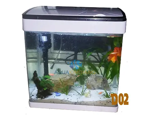 Bể Cá Đúc Có Nắp: Lựa Chọn Tối Ưu Cho Người Mới Bắt Đầu Và Người Nuôi Cá Cảnh Chuyên Nghiệp