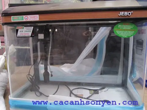Hướng dẫn chọn mua và setup bể cá đúc Jebo tối ưu nhất