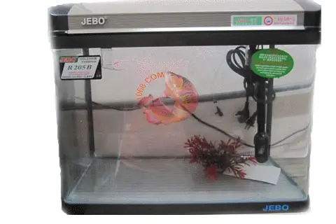 Hướng dẫn chọn mua và setup bể cá đúc Jebo tối ưu nhất