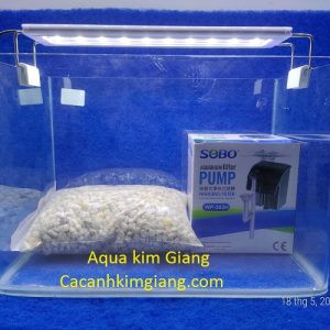 Bể cá đúc mini hiện đại, dễ dàng đặt trên bàn làm việc
