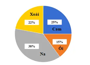 Hướng Dẫn Toàn Diện Về Bể Cá Hình Chữ Nhật Cho Người Nuôi