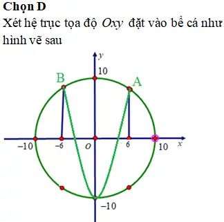 bể cá hình tròn