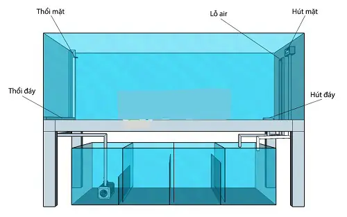 Bể Cá Hút Mặt Hút Đáy Toàn Dải: Hệ Thống Lọc Nước Tối Ưu Cho Hồ Cá