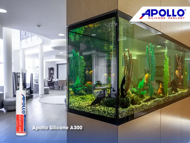 Hướng Dẫn Chi Tiết Thi Công Bể Cá Koi Bằng Kính Chuẩn Đẹp