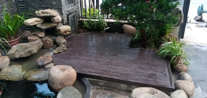 Hướng Dẫn Thiết Kế và Chăm Sóc Bể Cá Koi Ngoài Trời Chi Tiết