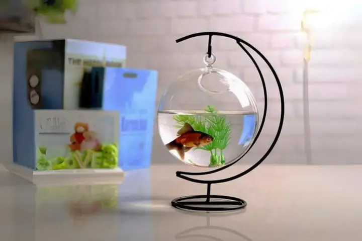bể cá mini để bàn