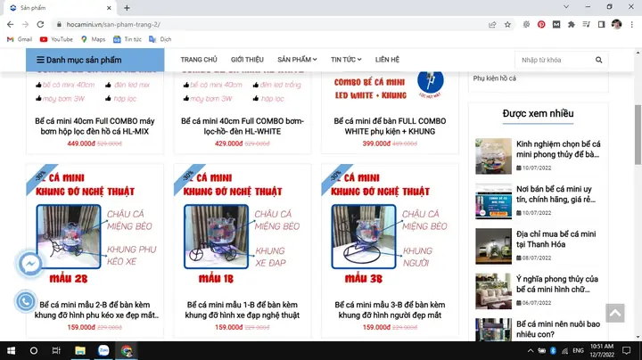 Top 5 Địa Chỉ Mua Bể Cá Mini Để Bàn Uy Tín Tại Hải Phòng