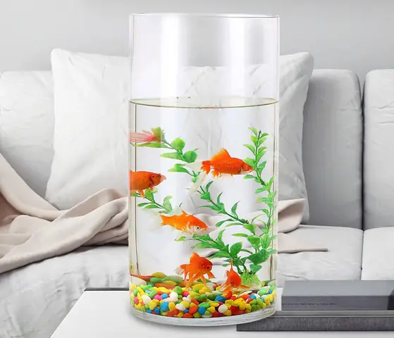 Bể cá mini hình trụ: Hướng dẫn từ A đến Z cho người mới bắt đầu