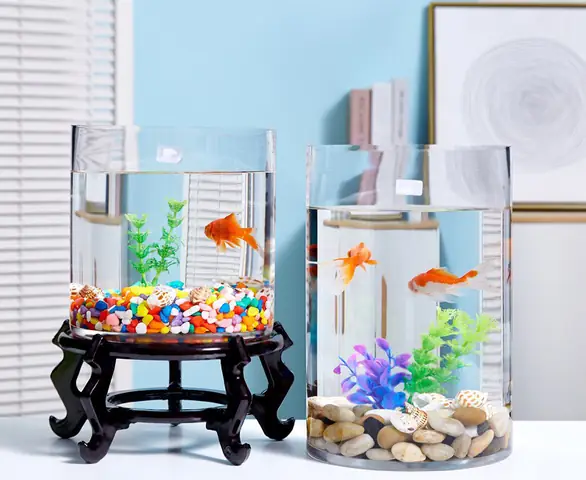 Bể cá mini hình trụ: Hướng dẫn từ A đến Z cho người mới bắt đầu