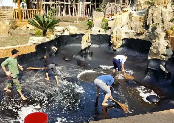 bể cá ngoài trời