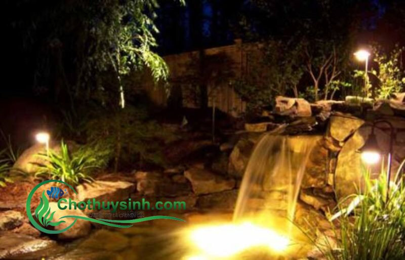 Bể cá ngoài trời sáng đèn vào buổi tối