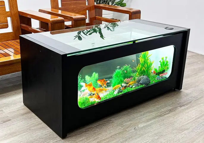 Bể Cá Phong Thủy Để Bàn: Hướng Dẫn Chọn Và Bố Trí Hút Tài Lộc