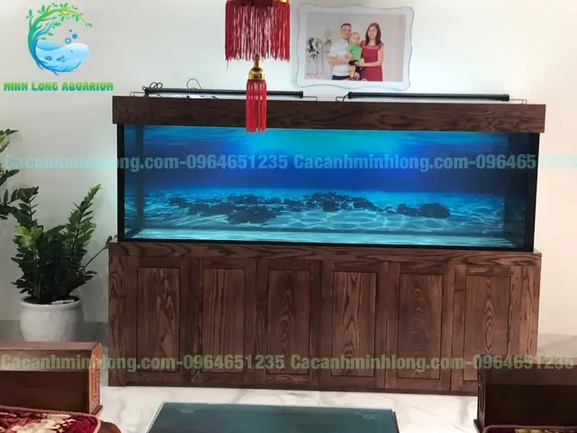 Bể Cá Rồng Công Nghệ Mới: Cẩm Nang Toàn Diện Nhất