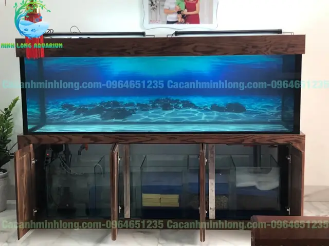 Bể Cá Rồng Công Nghệ Mới: Cẩm Nang Toàn Diện Nhất