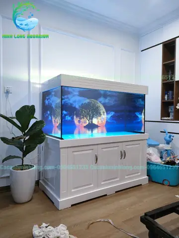 Bể Cá Rồng Công Nghệ Mới: Cẩm Nang Toàn Diện Nhất