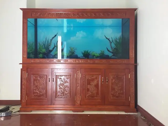 Bể Cá Rồng Công Nghệ Mới: Cẩm Nang Toàn Diện Nhất