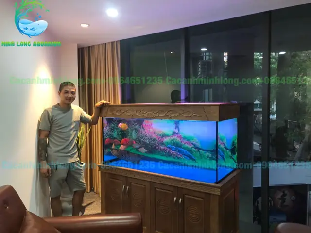 Bể Cá Rồng Công Nghệ Mới: Cẩm Nang Toàn Diện Nhất