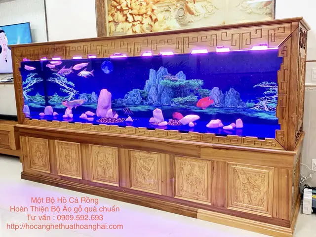 bể cá rồng đẹp