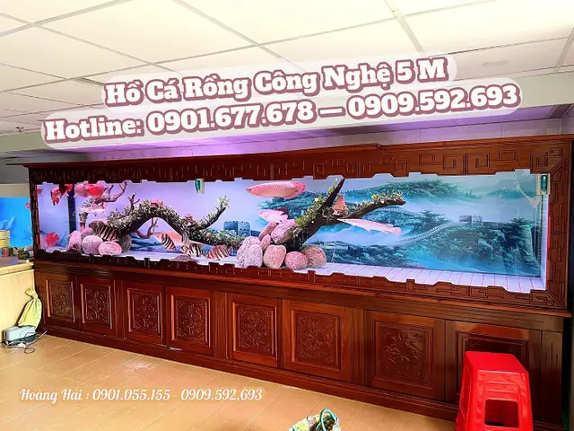bể cá rồng đẹp