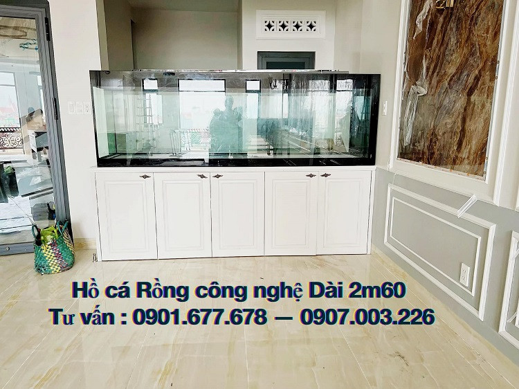 Bể cá rồng lớn với thiết kế hiện đại, mang lại vẻ đẹp sang trọng cho không gian sống và hợp phong thủy