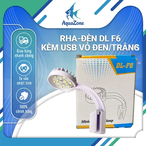 Hướng Dẫn Chi Tiết Cách Thiết Lập Bể Cá San Hô Mini Thành Công