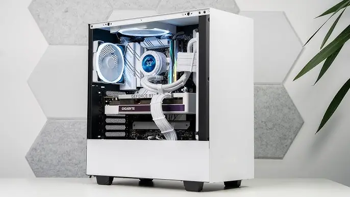 Hướng Dẫn Thiết Kế & Chăm Sóc Bể Cá Siêu Đẹp Từ A-Z