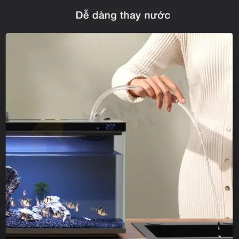 bể cá thủy sinh