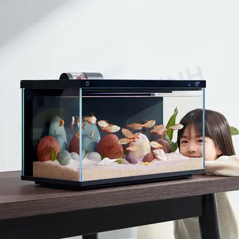 bể cá thủy sinh