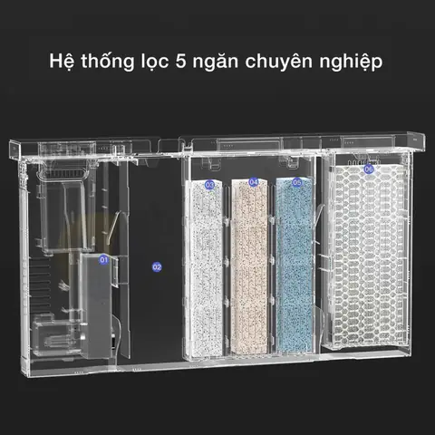 bể cá thủy sinh