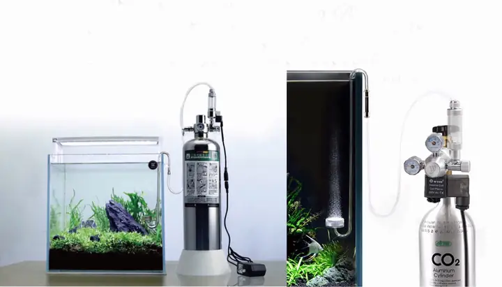 bể cá thủy sinh đẹp