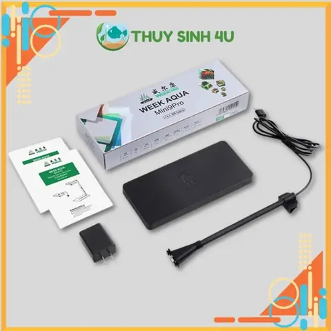 bể cá thủy sinh mini
