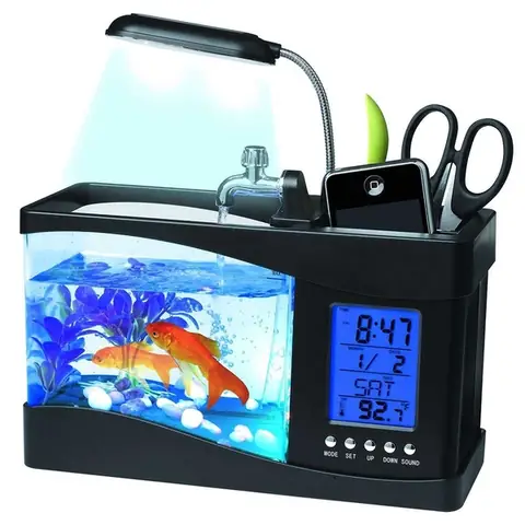Hướng Dẫn Chi Tiết Về Bể Cá Thủy Sinh Mini Để Bàn