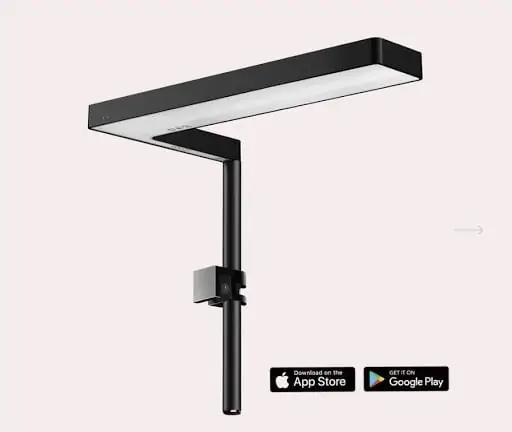 bể cá thủy sinh mini