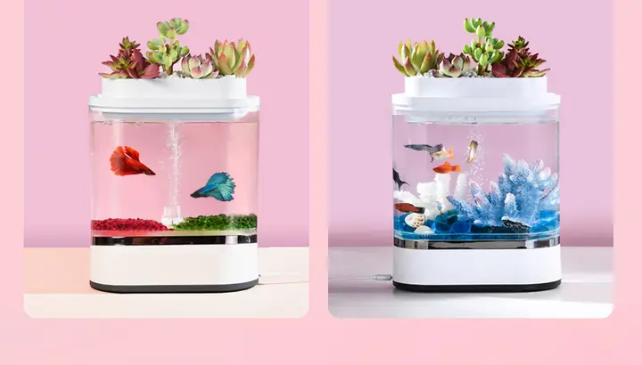 Bể Cá Thủy Sinh Mini Xiaomi: Hướng Dẫn Chi Tiết Từ A Đến Z