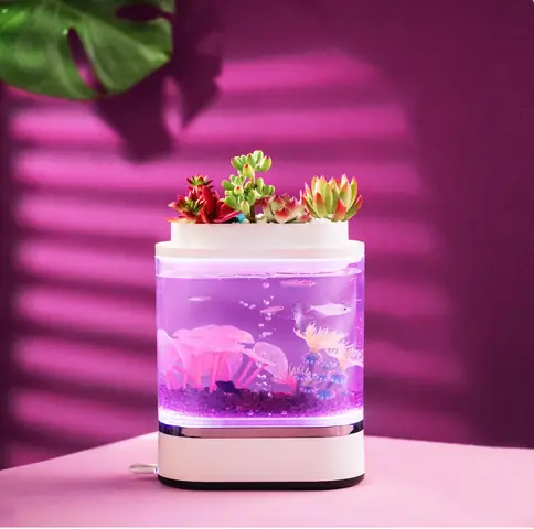 Bể Cá Thủy Sinh Mini Xiaomi: Hướng Dẫn Chi Tiết Từ A Đến Z