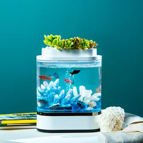 Bể Cá Thủy Sinh Mini Xiaomi: Hướng Dẫn Chi Tiết Từ A Đến Z