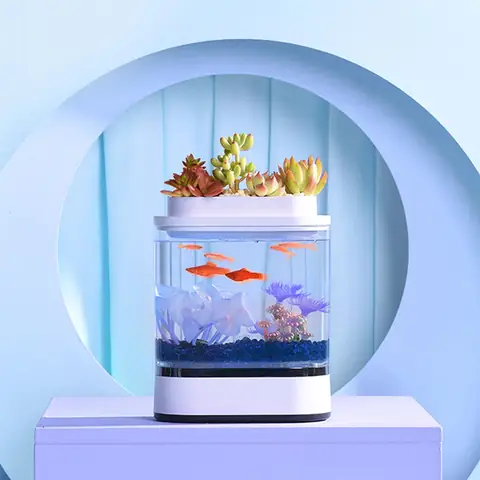 Bể Cá Thủy Sinh Mini Xiaomi: Hướng Dẫn Chi Tiết Từ A Đến Z