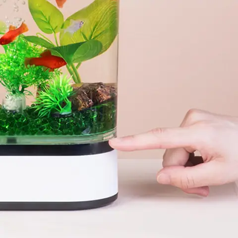 Bể Cá Thủy Sinh Mini Xiaomi: Hướng Dẫn Chi Tiết Từ A Đến Z