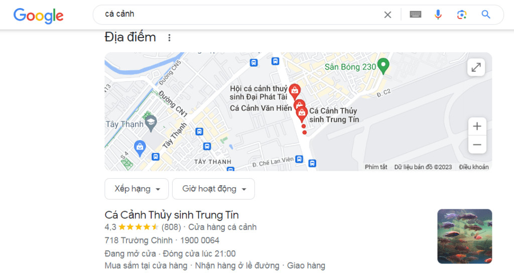 Bể cá thủy sinh trang trí đẹp mắt tại một cửa hàng cá kiểng lớn ở Sài Gòn.