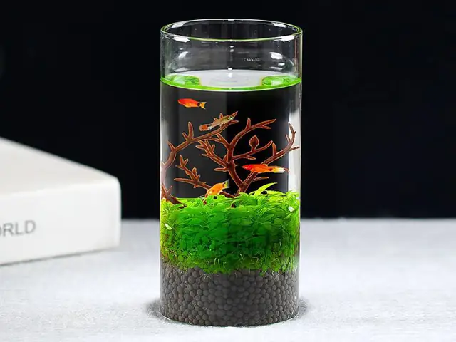 1. Bể cá tiếng anh là gì?