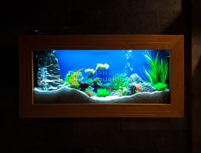 Bể cá treo tường 1m2 trang trí