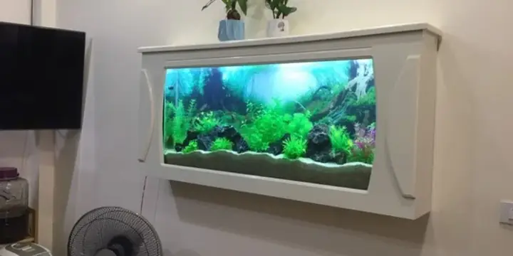 bể cá treo tường