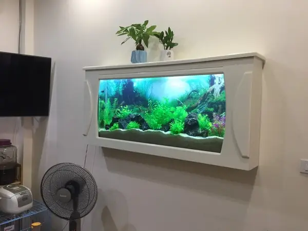 Bể Cá Treo Tường Siêu Mỏng Là Gì? Hướng Dẫn Chi Tiết Từ A-Z