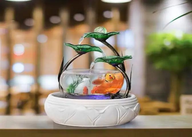 Bể Cá Tròn Để Bàn: Hướng Dẫn Toàn Diện Từ A-Z Bể Cá Tròn Để Bàn: Hướng Dẫn Toàn Diện Từ A-Z