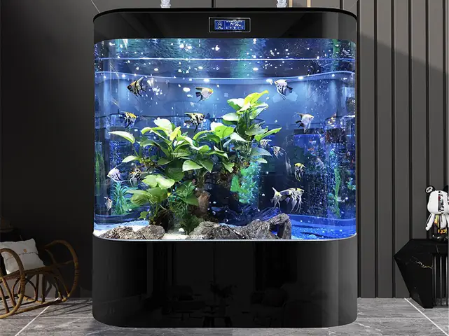 Hướng Dẫn Toàn Diện Về Bể Cá Tròn Lớn: Từ Chọn Mua Đến Chăm Sóc